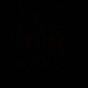 Meet your Posher, Marielys